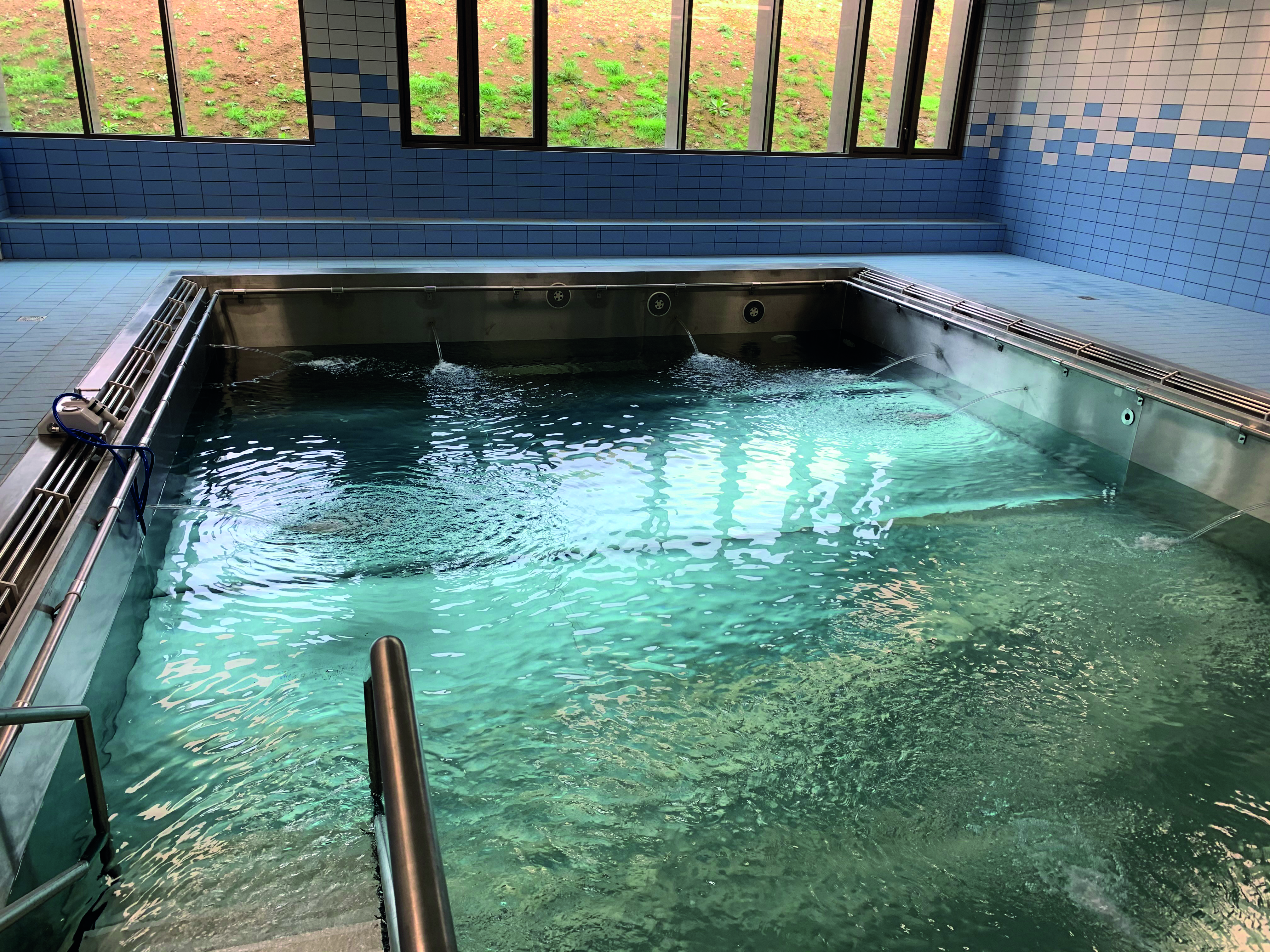 Ekinox – Concepteur d’espaces de soins aquatiques sur-mesure 3 CENTRE MGEN LA VERRIERE 78